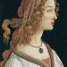 Portrait of a Young Woman (Simonetta Vespucci)